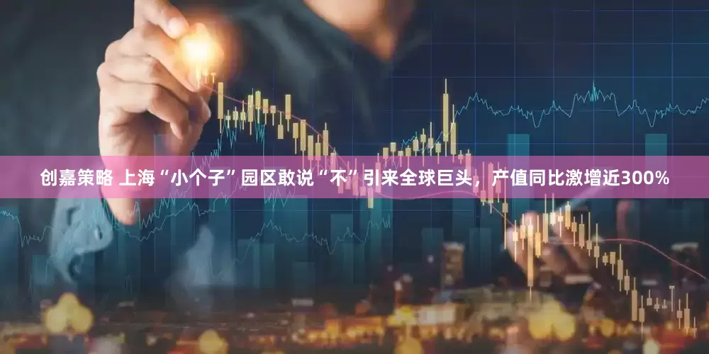 创嘉策略 上海“小个子”园区敢说“不”引来全球巨头，产值同比激增近300%
