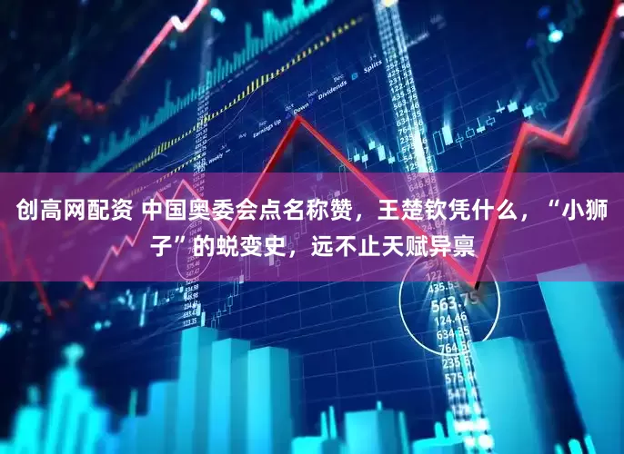 创高网配资 中国奥委会点名称赞，王楚钦凭什么，“小狮子”的蜕变史，远不止天赋异禀